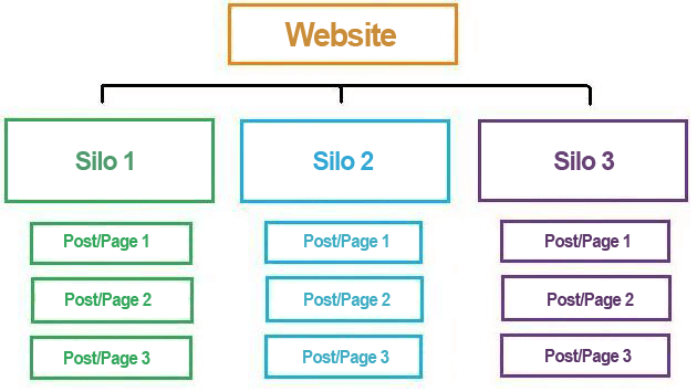 cấu trúc website